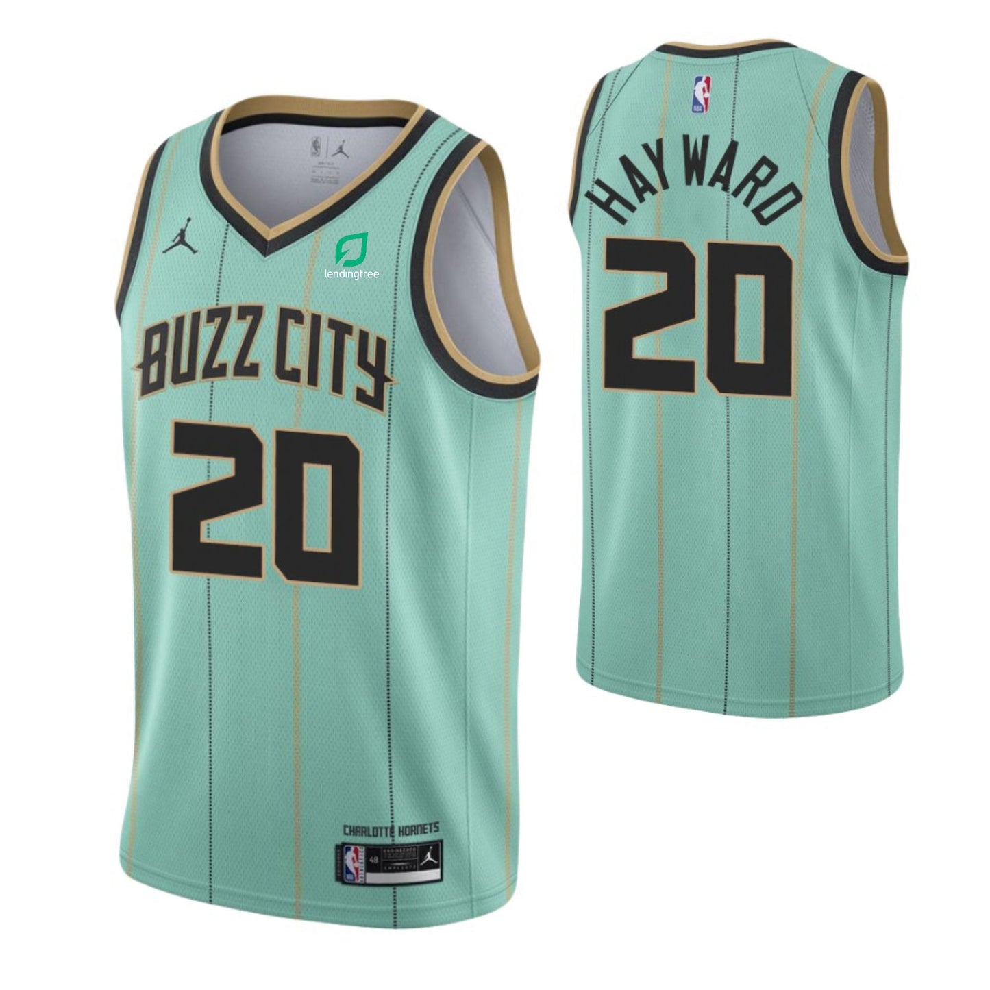 NBA Gordon Hayward Charlotte Hornets 20 Jersey