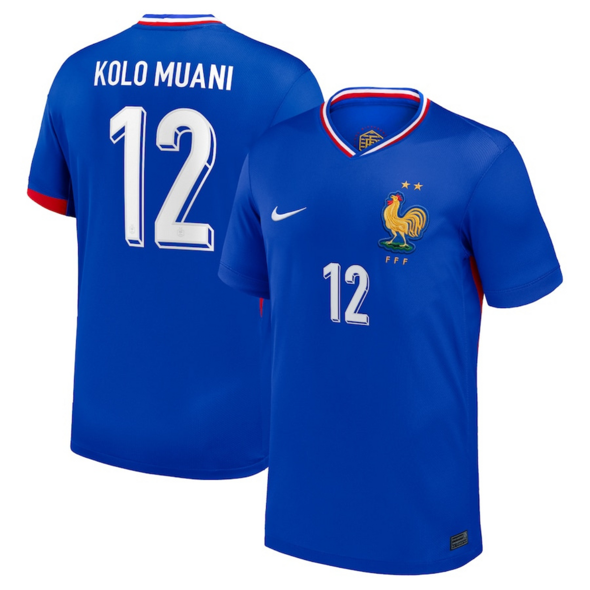 Close-up of France national team badge on jersey