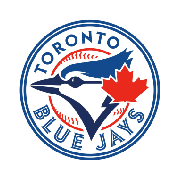 Toronto Blue Jays Baseball Team Jersey