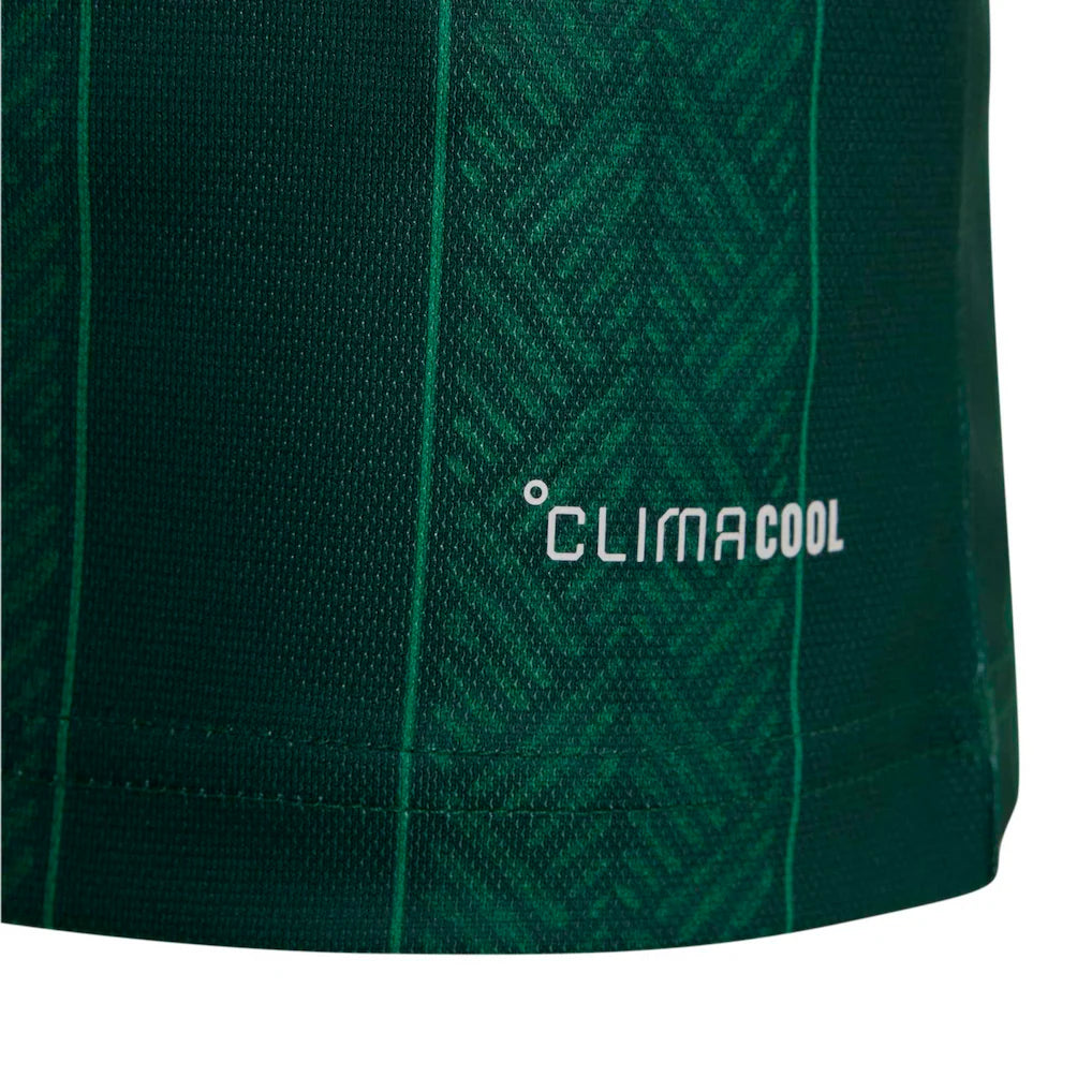 South Africa National Team 2026 Away Replica Jersey
